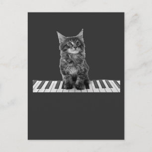 Carte Postale Piano chat chatte Pianiste Lecteur Clavier