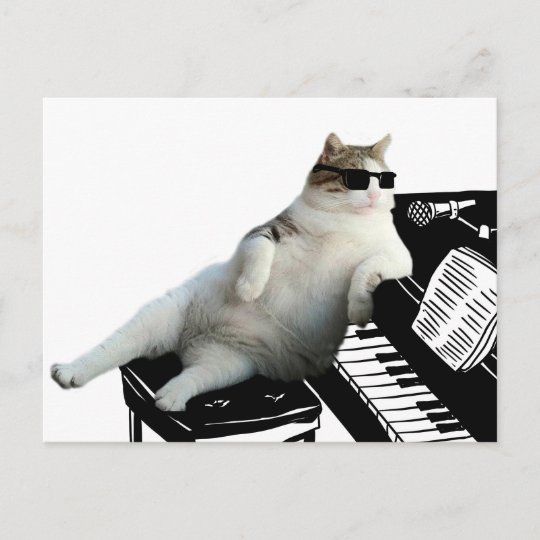 Carte Postale Piano De Chat Chat Avec Des Lunettes De Soleil Zazzle Fr