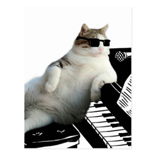 Invitations Faire Part Cartes Humour Pianiste Zazzle Fr Invitations Faire Part Cartes Humour Pianiste Zazzle Fr