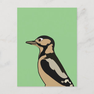 Carte Postale Pic-de-bois Oiseau Nature