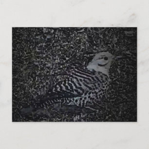Carte Postale Pic d'hirondelle v2 - Animaux de la cour