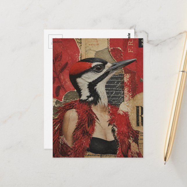 Carte Postale Pic épeiche ridicule dans une robe noire, art mult (Devant/Arrière en situation)