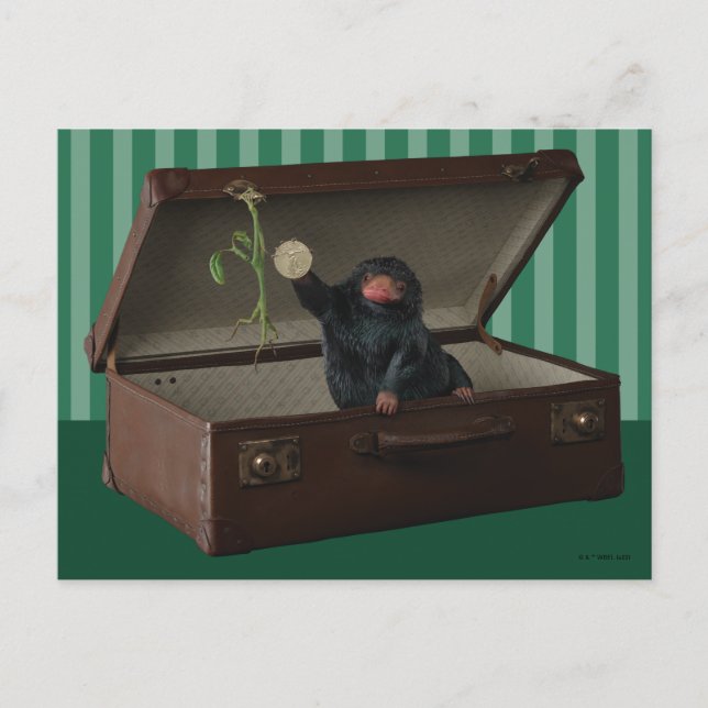 Carte Postale Pickett & Teddy dans la mallette (Devant)