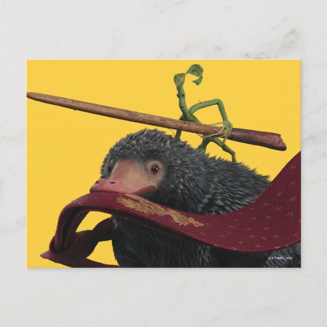 Carte Postale Pickett & Teddy With Wand and Tie (Devant)