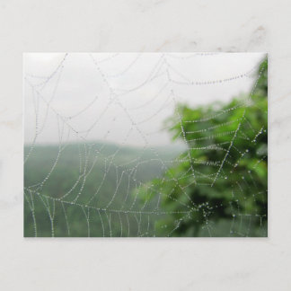 Carte Postale pics nature