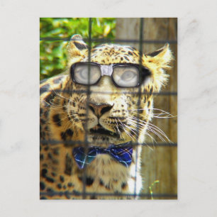 Carte Postale Pidasol sauvage