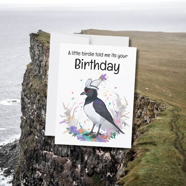 Carte Postale Pie voleuse portant un chapeau d'anniversaire fond (Créateur téléchargé)