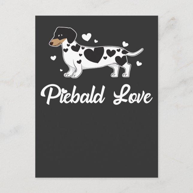 Carte Postale Piebald Dachshund Chien Propriétaire Cadeau (Devant)