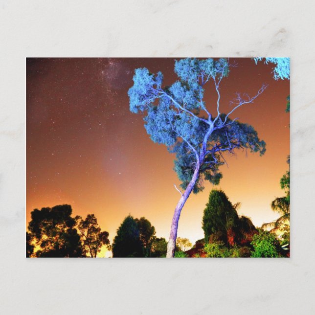 Carte Postale Pièce créative (Devant)