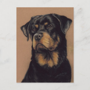 Carte postale Pièce originale Rottweiler