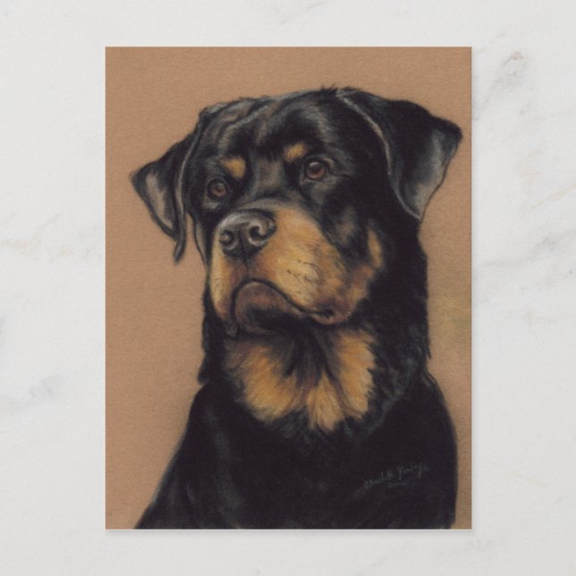 Carte postale Pièce originale Rottweiler (Devant)