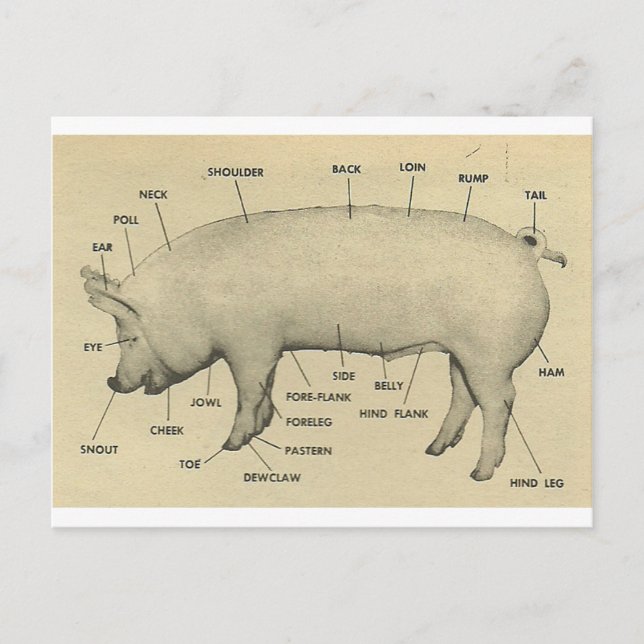 Carte Postale pièces de porc (Devant)