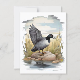 Carte Postale Pied américain dans les zones humides