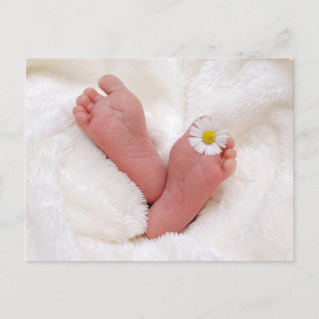 Carte Postale Pieds bébé avec marguerite (Devant)