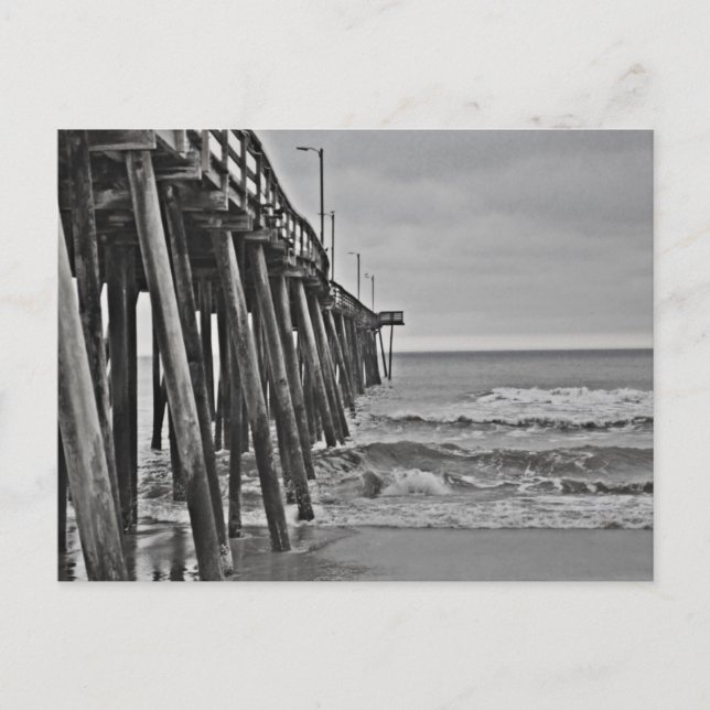 Carte Postale Pier par Shirley Taylor (Devant)