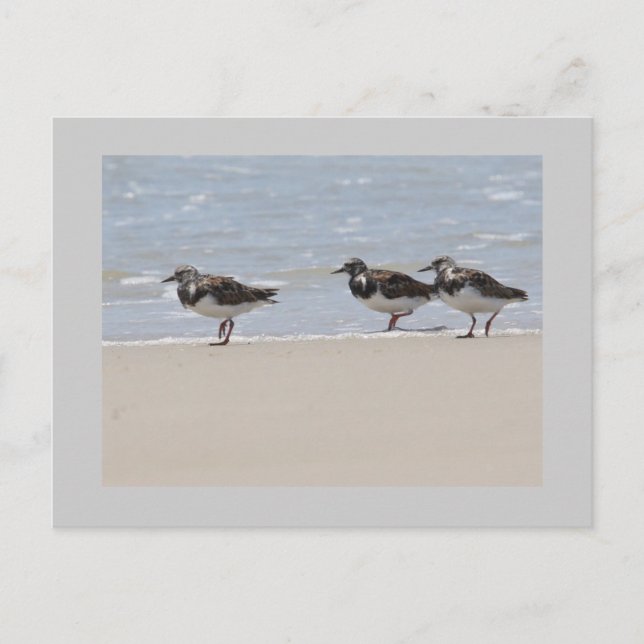 Carte Postale Pierres tournantes (Devant)