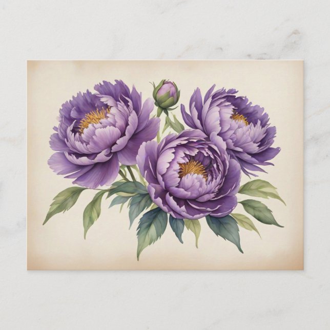 Carte Postale Pies pourpres sur parchemin (Devant)