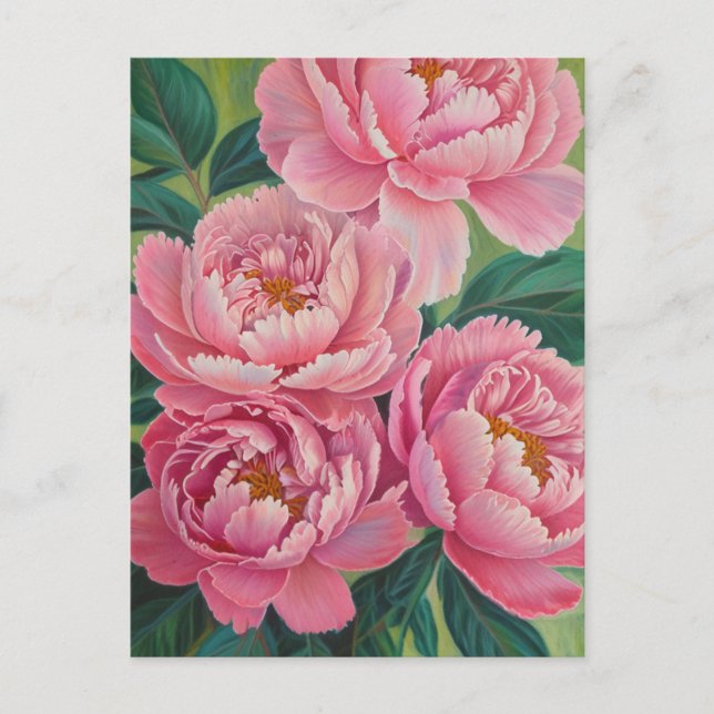 Carte Postale Pies roses Fleur Pastel Floral (Devant)