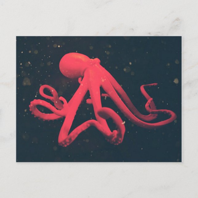 Carte Postale Pieuvre rouge brillante (Devant)