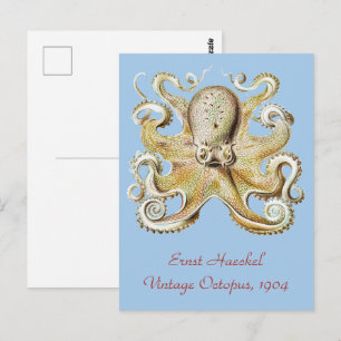 Carte Postale Pieuvre vintage d'Ernst Haeckel Vie marine nautiqu