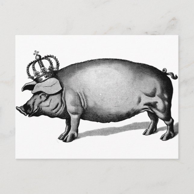 Carte Postale Pig Crown Royal Queen Big Piggy (Devant)