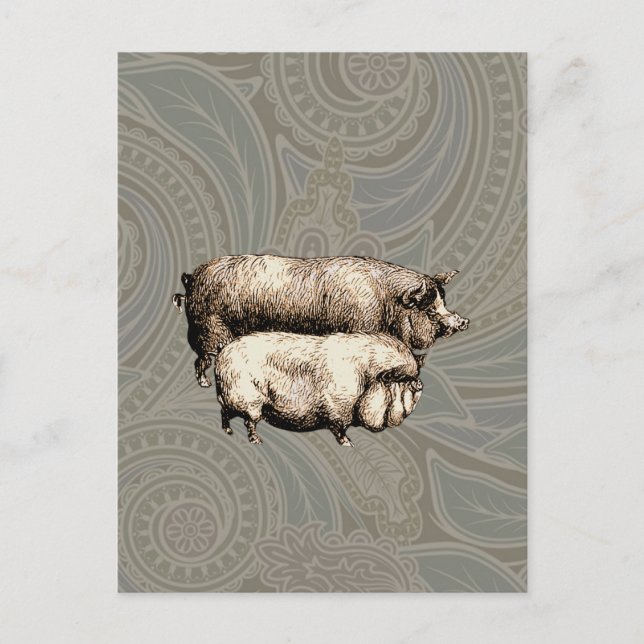 Carte Postale Pig Farm Pays Antique Illustration Art (Devant)