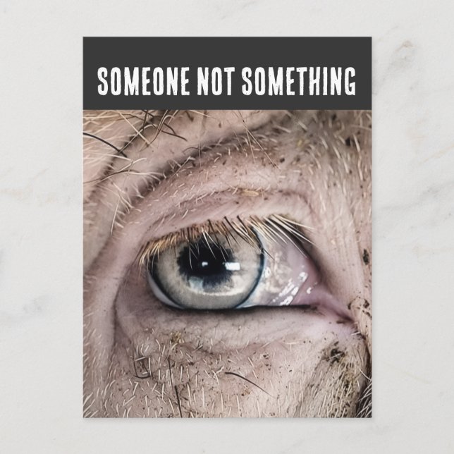 Carte Postale PIG Postcard, SOMEONE NOT SOMETHING (Devant)