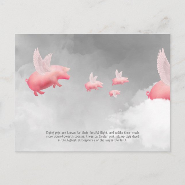 Carte Postale Pig volant (Devant)