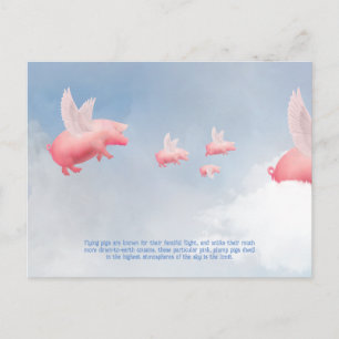 Carte Postale Pig volant