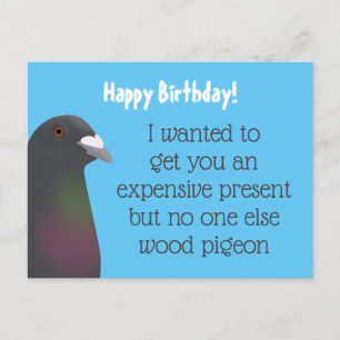 Carte Postale Pigeon