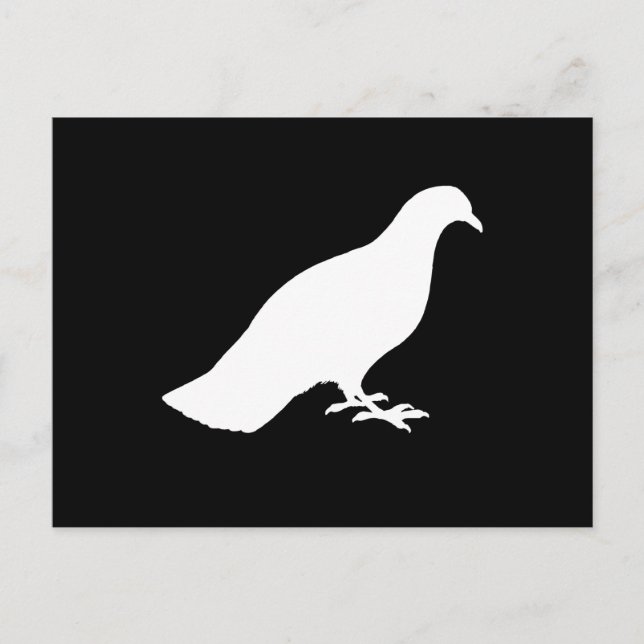 Carte Postale Pigeon (Devant)