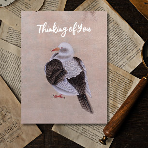 Carte Postale Pigeon