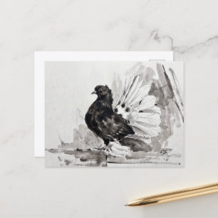 Carte Postale Pigeon à queue indienne Eyeliner Poule