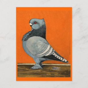 Carte Postale Pigeon Blondinette Bleue