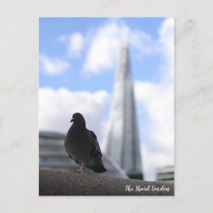 Carte Postale Pigeon de Londres avec vue sur la Barbe en arrière