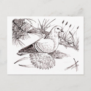 Carte Postale Pigeon de Saxon