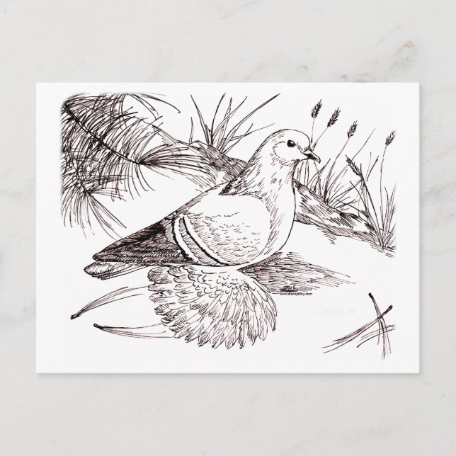 Carte Postale Pigeon de Saxon (Devant)