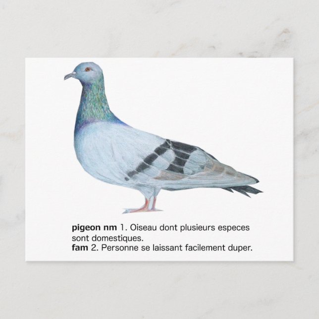 Carte Postale Pigeon par NuancesdePigeon T-shirts (Devant)
