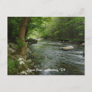 Carte Postale Pigeon River - Gatlinburg, TN