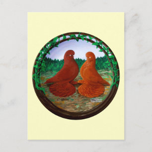 Carte Postale Pigeons de cordonnier bouffés2