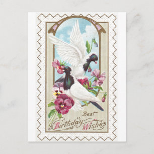 Carte Postale Pigeons et Pansies Anniversaire Vintage