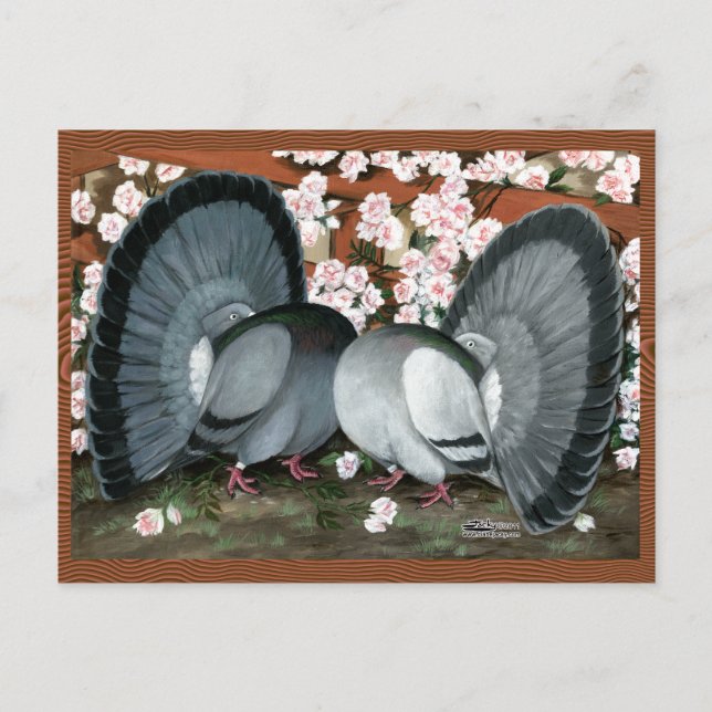 Carte Postale Pigeons fantastiques jumelés (Devant)