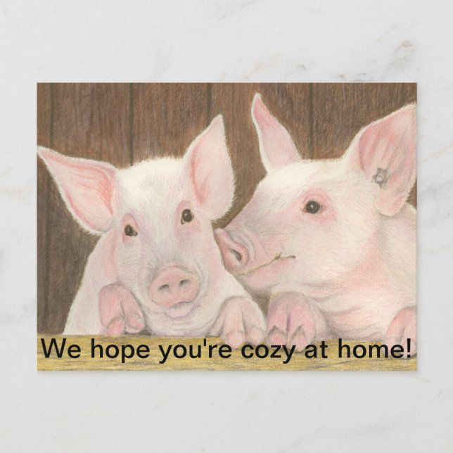 Carte Postale Piglets (Devant)