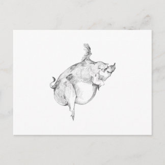 Carte Postale Pigs Can Fly Postcard