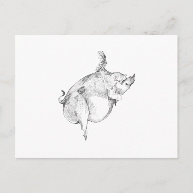 Carte Postale Pigs Can Fly Postcard (Devant)