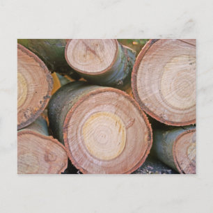 Carte Postale Pile de journaux