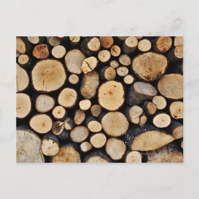 Carte Postale Pile de journaux d'arborescence (Devant)