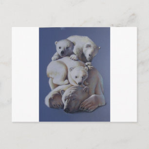 Carte Postale Pile d'ours polaire