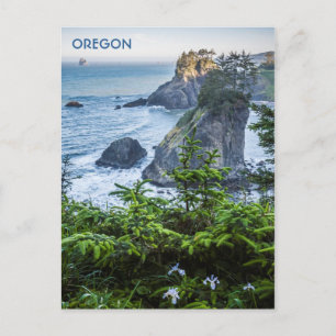 Carte Postale : Piles De Mer Et Iris (Portrait)