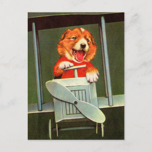 Carte Postale pilote